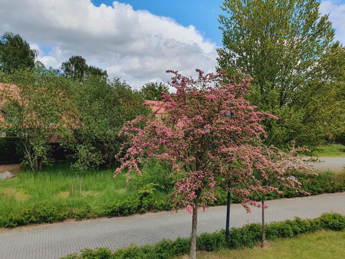 Ferienhaus Hase Villa บวร์ก ภายนอก รูปภาพ